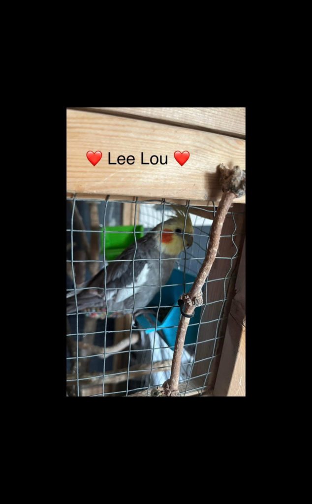 Lee Lou 