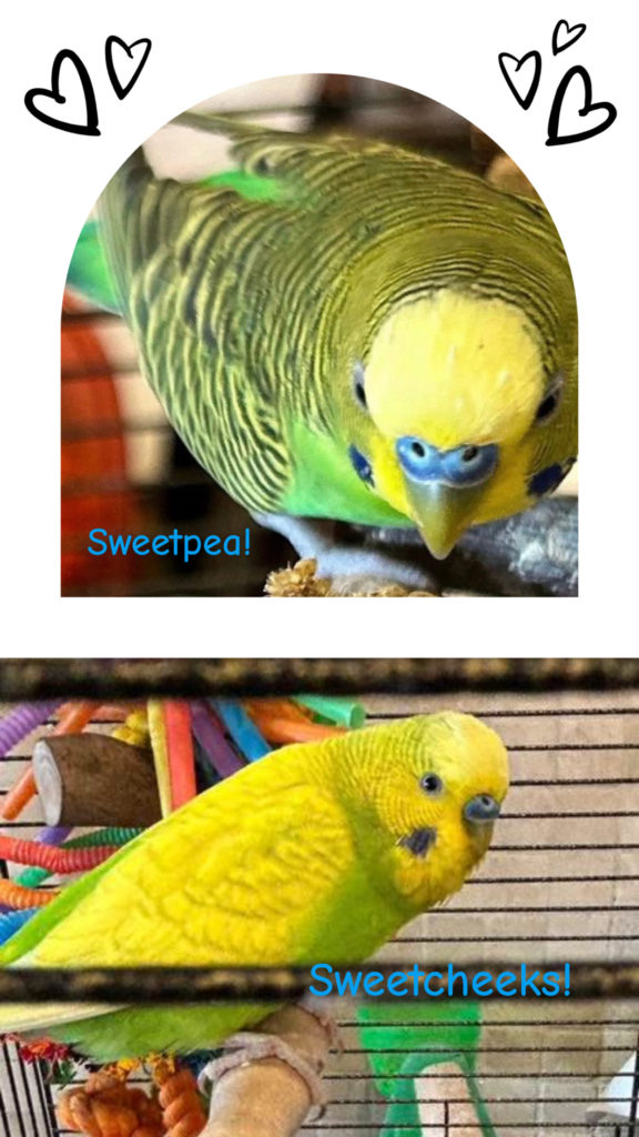 Sweetpea & Sweetcheeks!