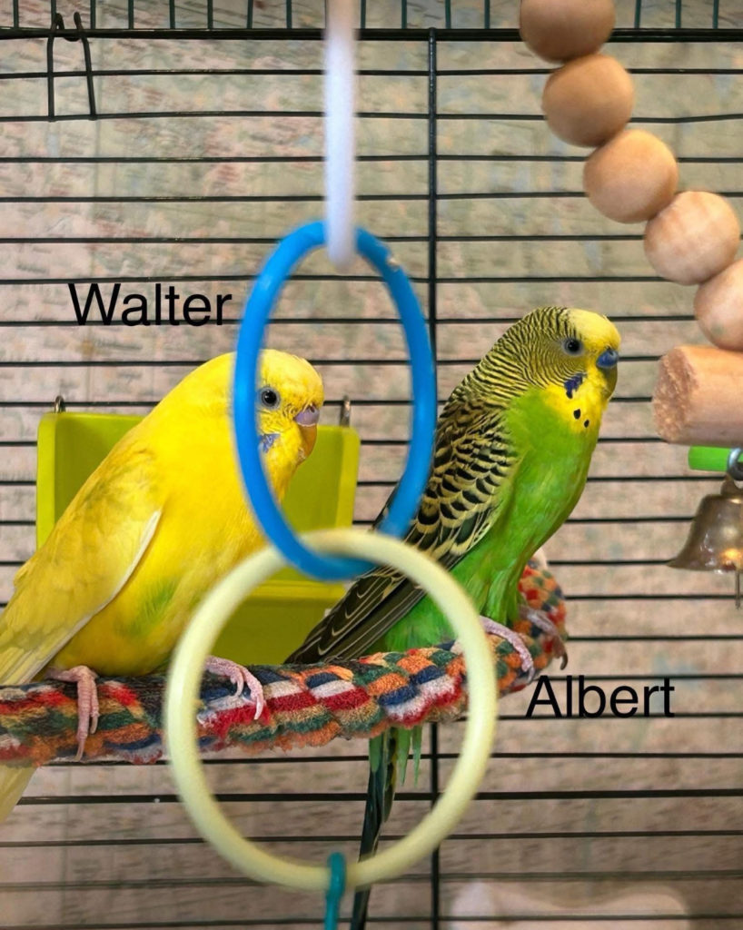 Albert & Walter! 