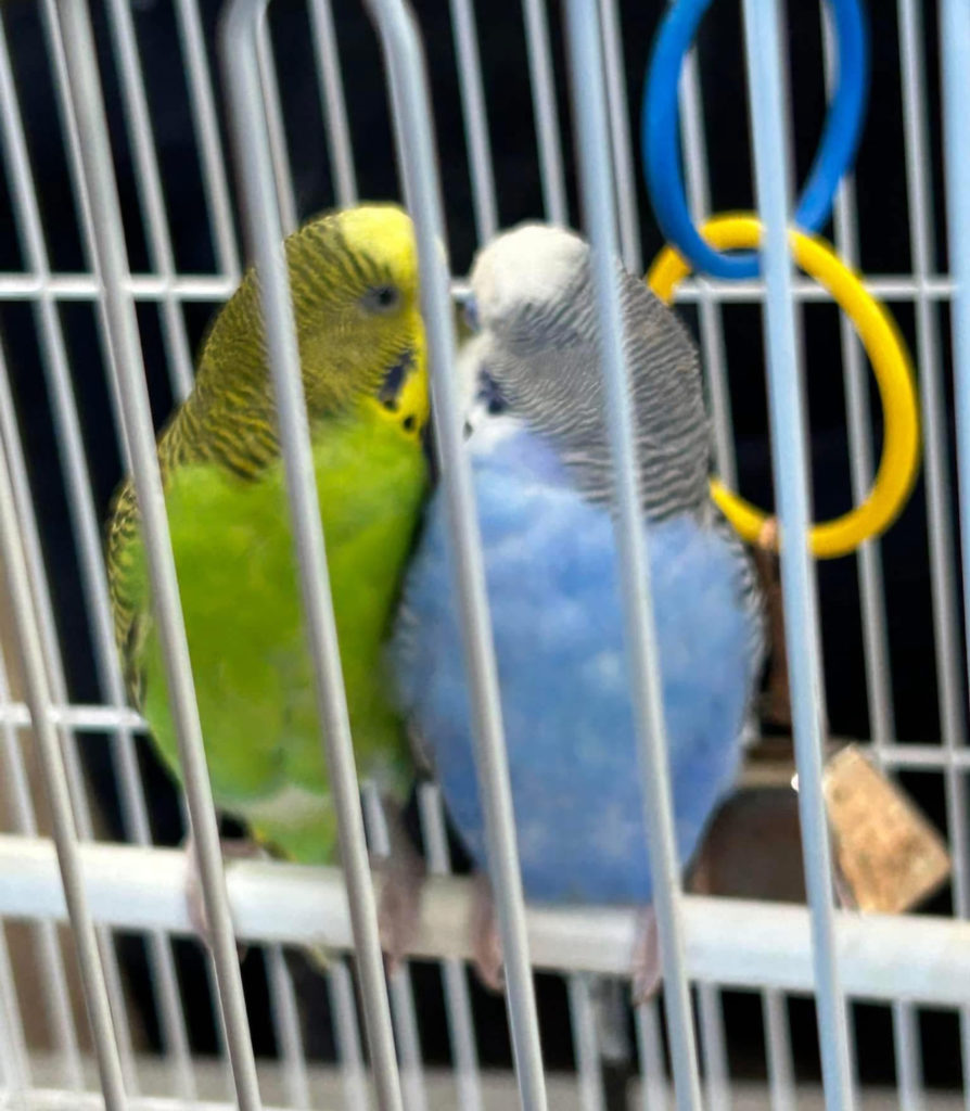 Skittles & Neptune