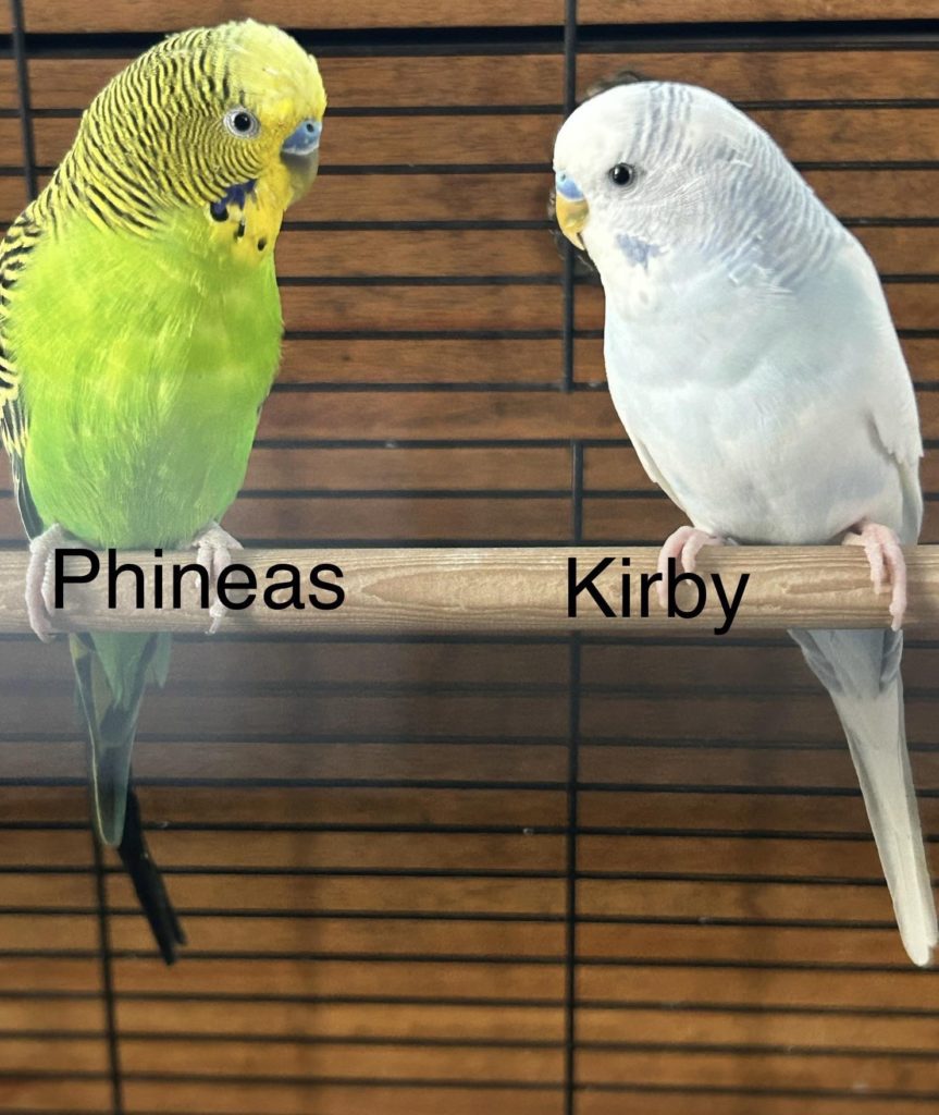 Phineas & Kirby